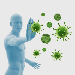 Immunrendszer
