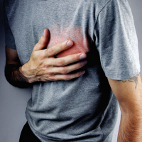 Szív és érrendszer